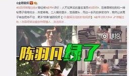 大勇爆料视频大全最新,揭秘娱乐圈幕后真相