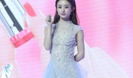 娱乐圈内部大爆料赵丽颖,娱乐圈内部大爆料，揭秘明星背后的真实故事