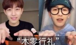 爆料陈律刘聪视频大全最新,揭秘娱乐圈背后的真相与争议