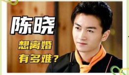 台媒爆料林子闳视频,事件引发热议