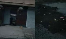 学校门口最新事件爆料,真相揭秘，警方介入调查