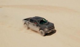 国外猛禽爆料视频,揭秘神秘猛禽生活片段