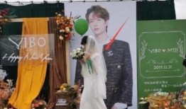 桑植新娘爆料视频曝光,揭秘乡村婚嫁风俗背后的真相