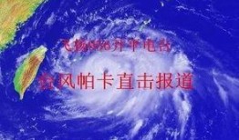 中国台风最新爆料消息视频,揭秘中国沿海地区最新风暴来袭