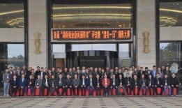 澧县新闻最新爆料,重大事件背后真相揭晓！