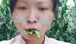 青草草在线观看