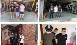 甘肃监狱爆料案件最新,揭开黑幕，探寻真相