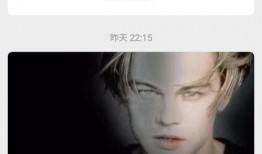 rabbit每日爆料李振宁视频,揭秘日常生活中的魅力瞬间