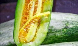 网红瓜在哪里吃,揭秘热门美食聚集地