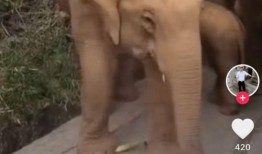 娱乐吃瓜酱见一面,一场意外的明星见面会