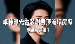 男星塌房爆料视频大全,真相与反思