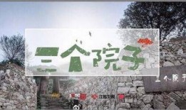 三个院子在线观看,在线重温经典，共鉴时代变迁