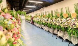 花篮网最新爆料视频,最新爆料视频深度解析