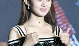 娱乐圈内部大爆料赵丽颖,娱乐圈内部大爆料，揭秘明星背后的真实故事