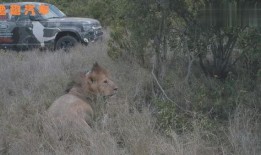 爆料路虎卫士视频大全集,探寻越野传奇的辉煌历程