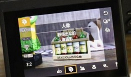 佳能最新微单爆料图片,颠覆性设计，引领摄影新潮流