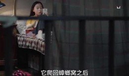 科普爆料姐姐视频大全集,揭秘科学奥秘，畅游知识海洋