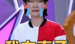 娱乐吃瓜君秦霄贤,娱乐吃瓜界的风云人物