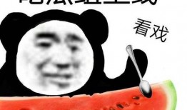 网红吃瓜爆料黑料不打洋,吃瓜爆料，不打洋黑料背后的真相