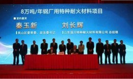 岚山新闻爆料,揭秘当地热点事件背后的真相