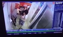 哈哥被爆料视频播放,揭秘背后真相与网络舆论影响