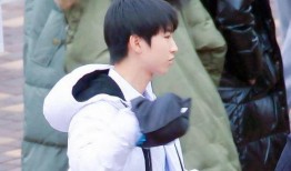 娱乐吃瓜君王俊凯,娱乐吃瓜界的“瓜王”传奇