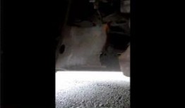 速腾最新爆料视频播放大全,性能升级与设计革新一览无余