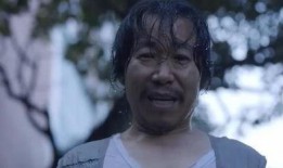 素媛事件最新爆料,最新爆料揭露惊人内幕