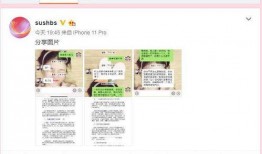 高管妻子被爆料视频,一场豪门恩怨的序幕拉开