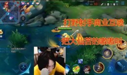 大仙爆料吵架视频播放在线观看,在线观看引发热议