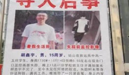 江西失联男孩爆料视频,揭开神秘失踪背后的惊人真相