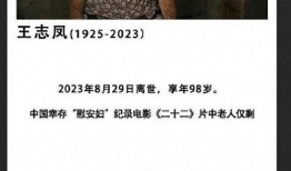 二十二记录片在线观看,二十二纪录片深度解读