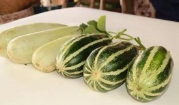 网红瓜在哪里吃,揭秘热门美食聚集地