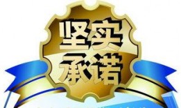 《为您服务》在线观看,揭秘服务行业背后的感人故事