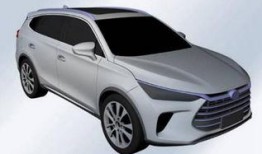 比亚迪高管爆料最新消息,揭秘新能源汽车产业未来趋势与挑战