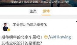 比亚迪高管爆料最新消息,揭秘新能源汽车产业未来趋势与挑战