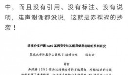 娱乐圈爆料论文文献,揭秘幕后真相与舆论影响