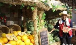 康县网红吃瓜店子是谁啊,探寻当地美食传奇