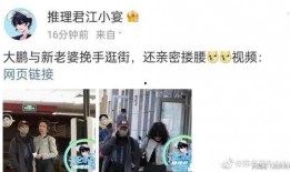 大鹏养家爆料视频播放,热门话题背后的真相与思考