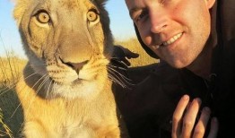 动物视频在线观看,在线观看精彩动物视频集锦