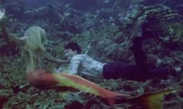 在线观看美人鱼,梦幻海洋的奇幻之旅