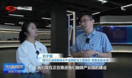 江油最新爆料新闻事件,真相揭秘，影响深远！