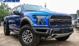 国外猛禽爆料视频,揭秘神秘猛禽生活片段