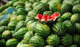 吃瓜qq群网红黑料在线观看,在线观看背后的真相与争议