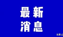 星期四最新更新爆料新闻,最新热点事件深度解析！