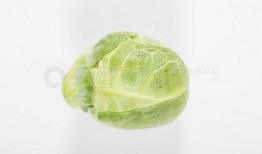 吃瓜免费照片,带你领略视觉盛宴