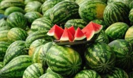 有哪些知名网红吃瓜群,揭秘知名网红的吃瓜群圈层