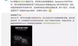 内鬼错误爆料视频在线观看,独家视频带你直击事件现场