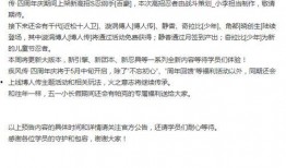 忍者帕克最新爆料视频,神秘技能大揭秘，暗夜英雄再起风云