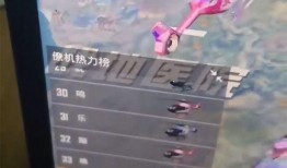 吃鸡新僚机爆料视频下载